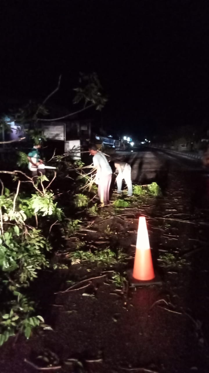 Di Sarolangun, Hujan dan Angin Kencang, Pohon Tumbang Sempat Macetkan Jalan