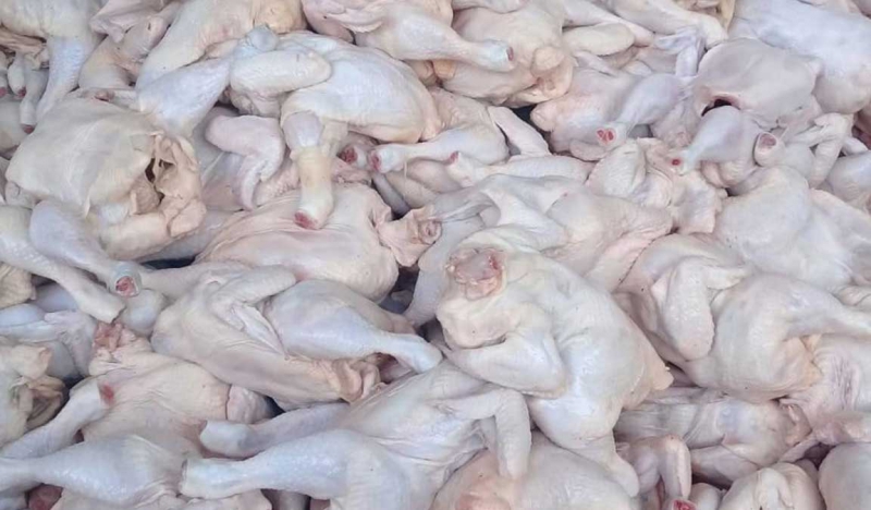 Harga Ayam Potong Merangkak Naik