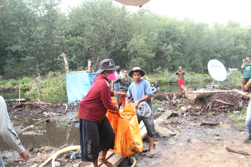 Diterkam Harimau, Seorang Pria di Muaro Jambi Ditemukan Tewas