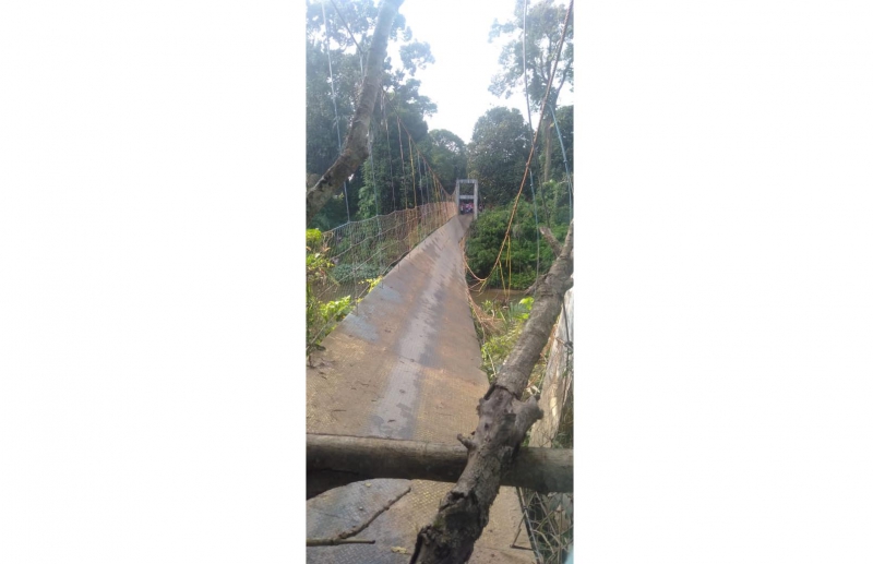 Jembatan Gantung di Tanjabbar Putus, 20 orang Siswa SD Jatuh ke Sungai