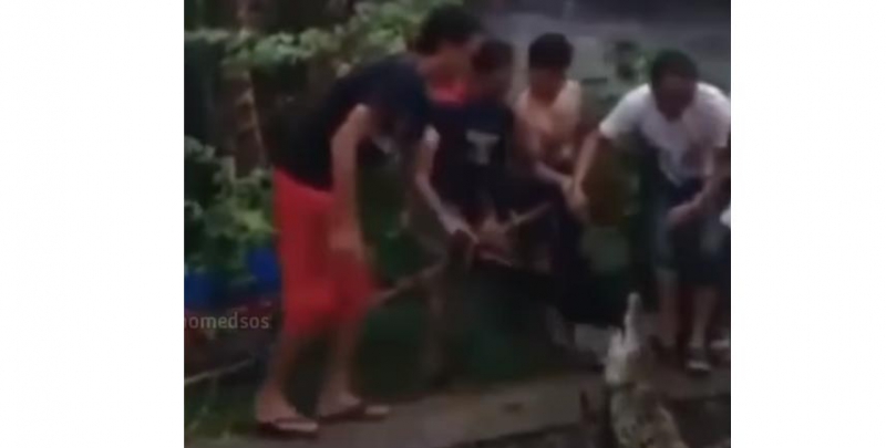 Nekat Tangkap Buaya 2 Meter di Bandung, Jari Seorang Warga Digigit Hingga Terluka Parah