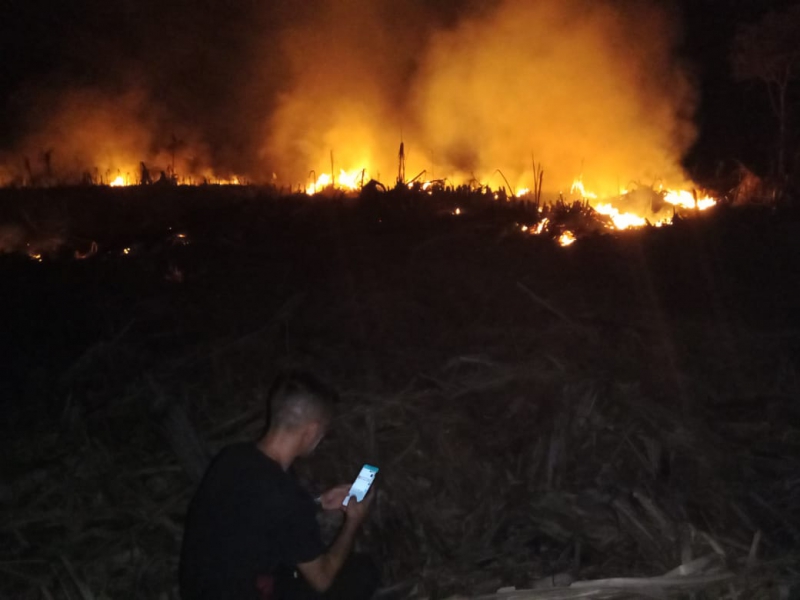 Api Hanguskan 7 Hektar Lahan di Tanjabtim