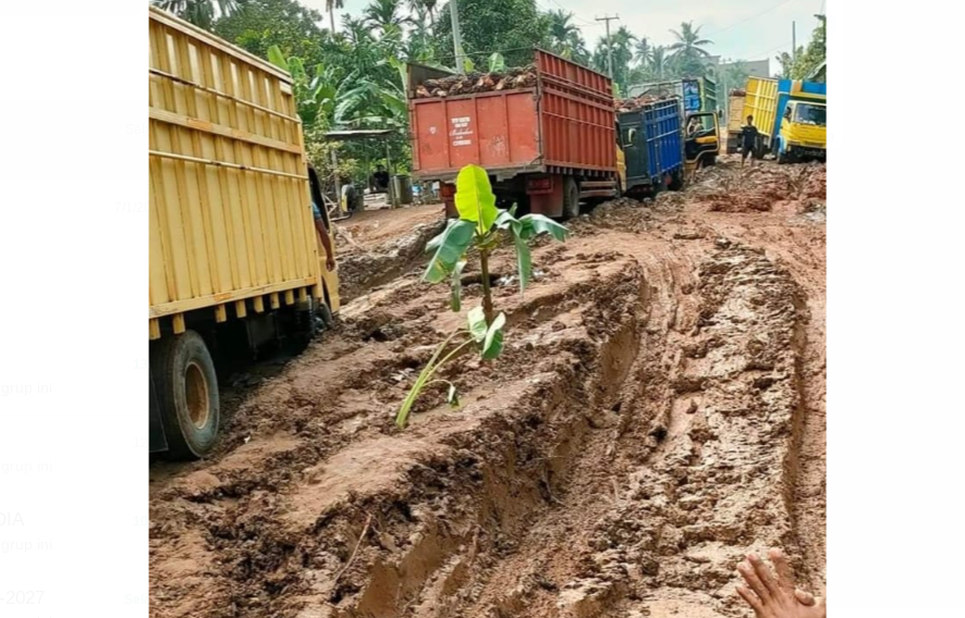 Sarkas! Baru Dua Hari Pisang dan Keladi Ditaman Sudah Tumbuh Subur di Jalan Raya Tanjab Timur 