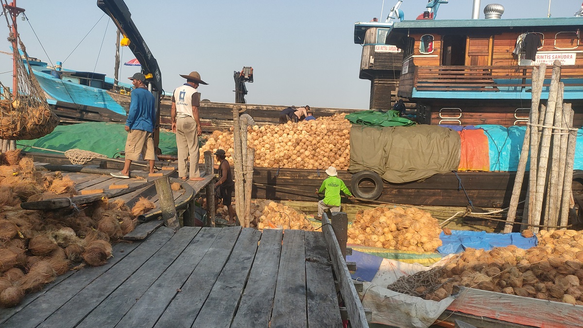 Harga Jual Kelapa Dalam Naik Tinggi, Tembus Rp 3.200 Per KG