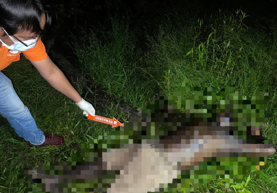 Warga Temukan Mayat di Kebun Karet, Polisi Lakukan Olah TKP