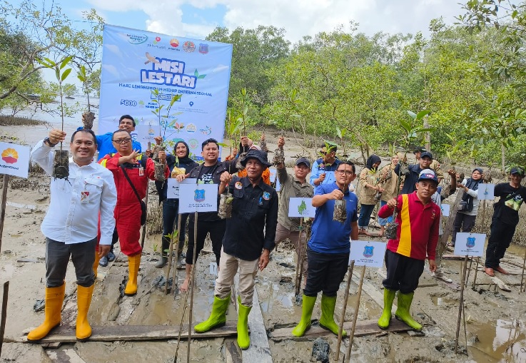  SKK Migas - PetroChina Lakukan Penanaman 35.000 Pohon Mangrove di Pangkal Babu