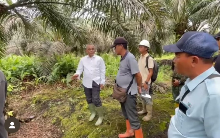 Region Head PTPN IV Regional 4 Jambi-Sumbar Kunjungan Kerja Ke Unit Usaha Lagan