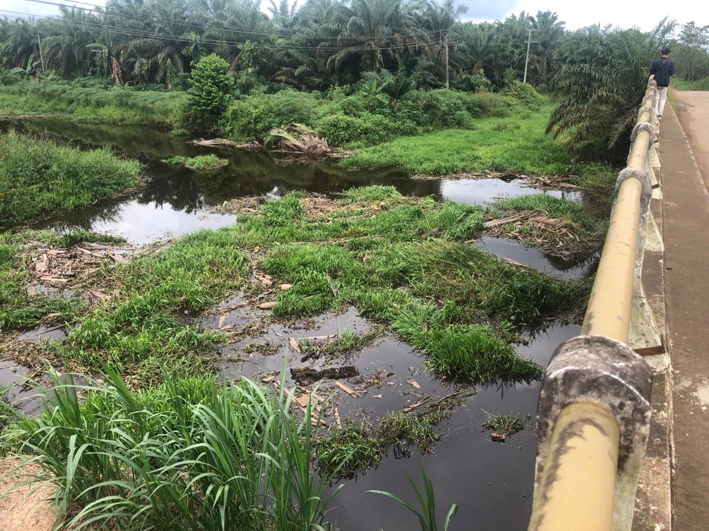 Sungai Desa Suka Maju Butuh Normalisasi