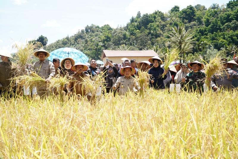 Kerinci Target Surplus 100 Ribu Ton Beras