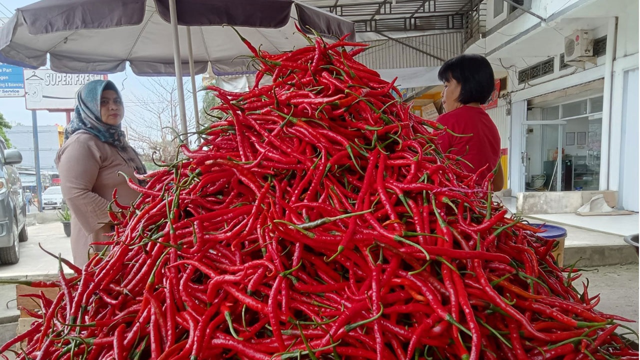 Menjelang Natal dan Tahun Baru, Harga Bahan Pokokdi Kota Jambi  Melonjak