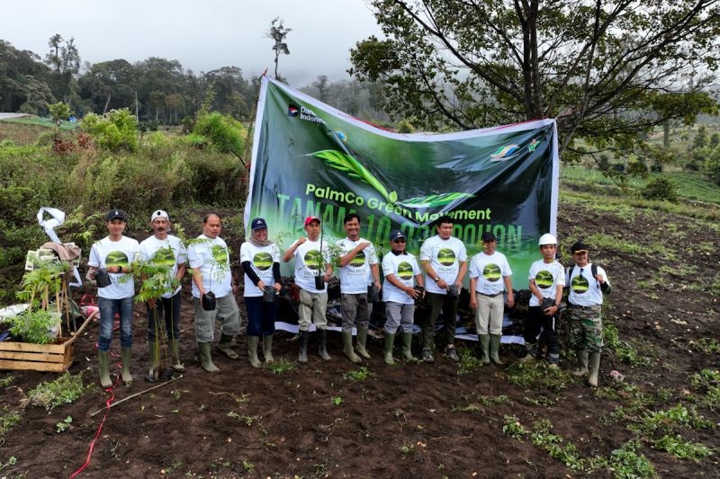 Cegah Degradasi Lingkungan, PalmCo Tanam Pohon di 12 Provinsi