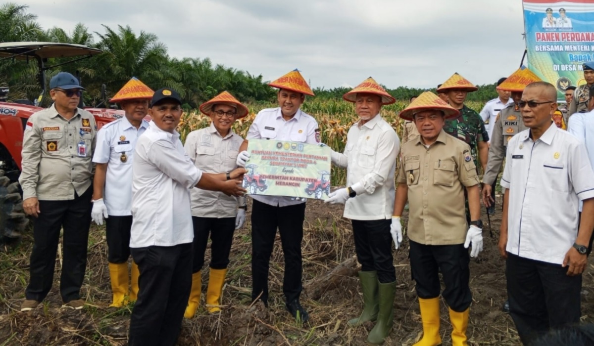Panen Jagung di Merangin, Menko Pangan Serahkan Bantuan 5 Unit Traktor