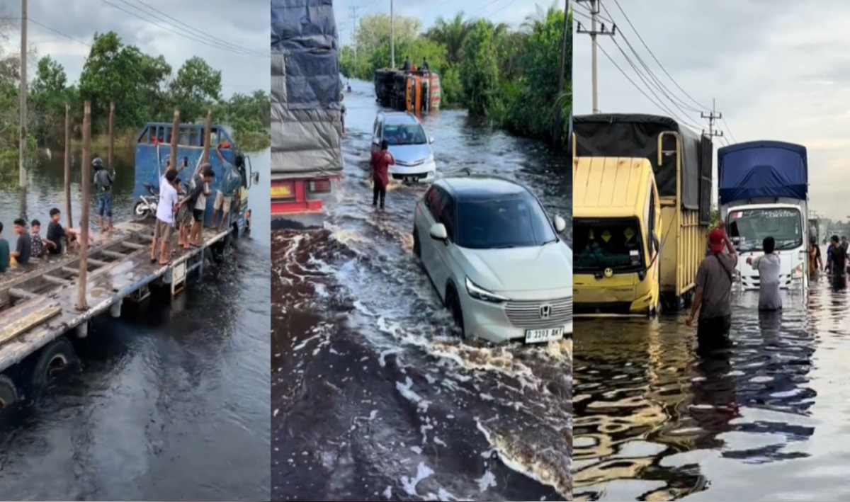  PENGUMUMAN! Jalan Lintas Timur Jambi-Riau Ditutup, Ini Jalur Alternatifnya