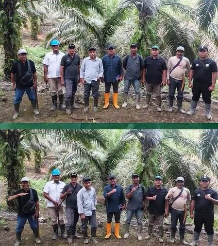 Region Head PTPN IV Regional 4 Kunjungi Kebun Bukit Cermin, Konsistensi Kunci Monev