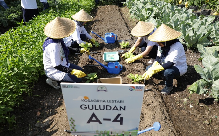 Kembangkan Urban Farming di Lahan Sempit, BRI Peduli Inspirasi Bertani di Kota (BRInita)