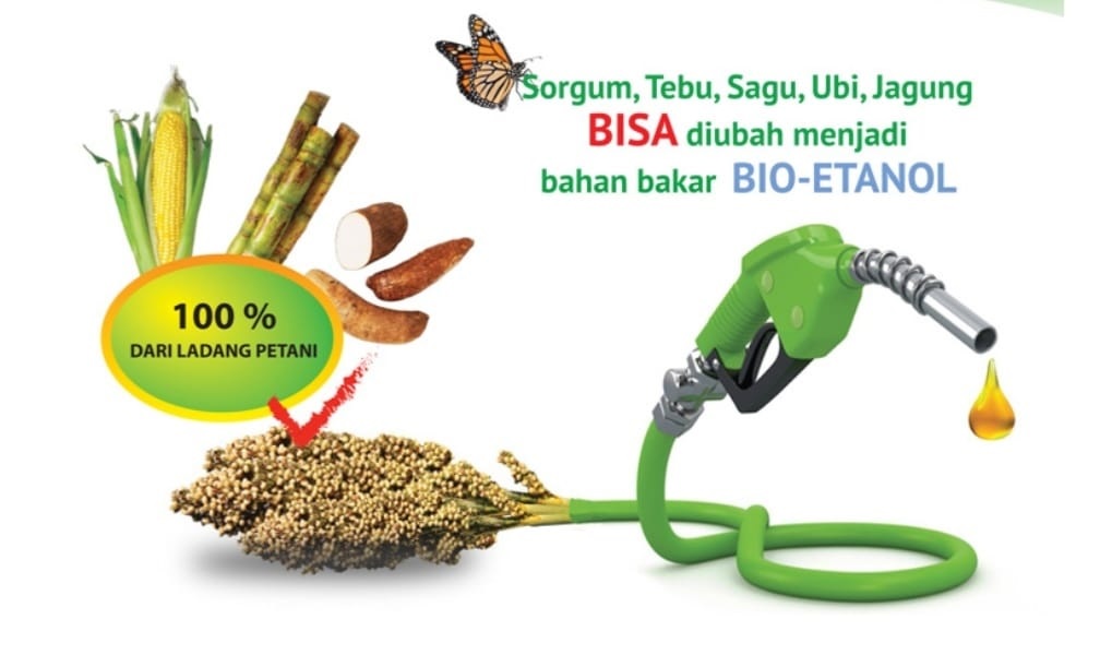 SIAP-SIAP! Menunggu Launcing Bioetanol, Pakar ITB: Campuran Bioetanol Solusi Kurangi Tekanan Impor BBM 
