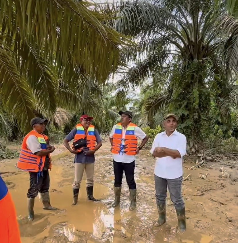 Region Head PTPN IV Regional 4 Jambi Tinjau Dampak Banjir di Lidung, Bukit Cermin