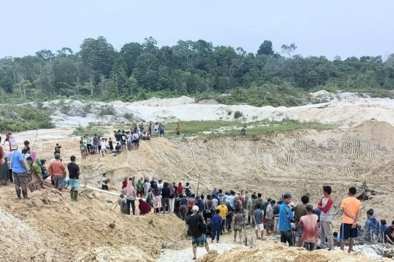 WALHI: Persoalan Tata Kelola SDA Pemicu Tragedi PETI di Jambi