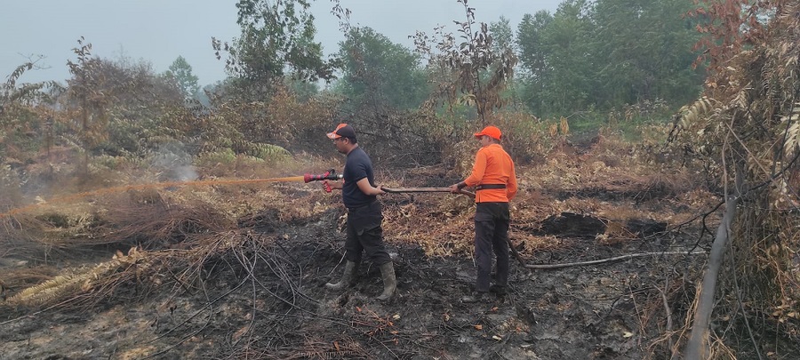 245,635 Hektare Lahan Terbakar di Tanjabtim, 252 Hotspot Terdeteksi