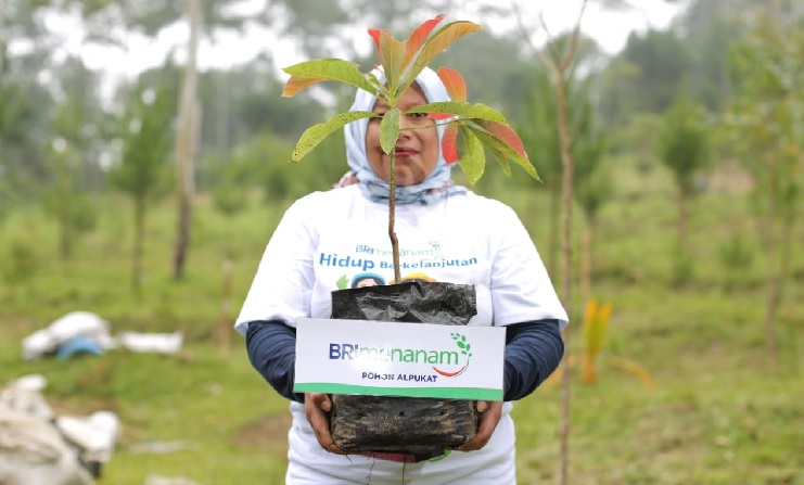 Fokus Jalankan Praktik Bisnis Berkelanjutan, BRI Masuk Dalam Daftar CNBC Indonesia Green Business Ratings 2024