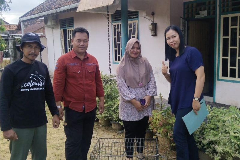 Balai KSDA Jambi Selamatkan Trenggiling di Pemukiman Warga