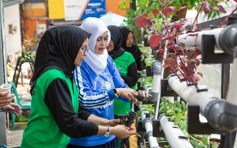 Berkat Program BRInita, Kelompok PKK Rawa Barat Sukses Budidaya Hidroponik dan Ikan Nila