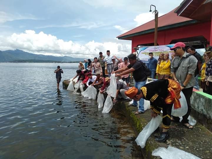 70 Ribu Ekor Ikan Spesies Baru Ditaburkan di Danau Kerinci