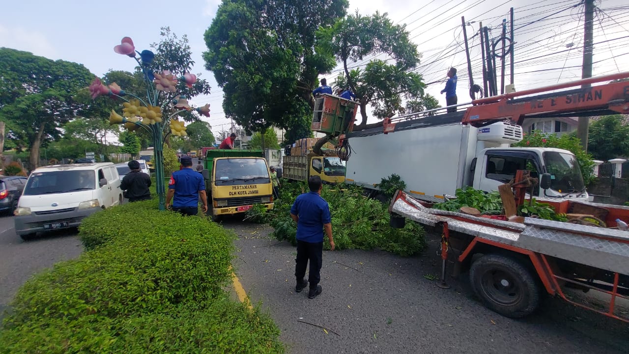 Tengah Antre BBM di SPBU, Dua Mobil di Kota Jambi Ditimpa Pohon