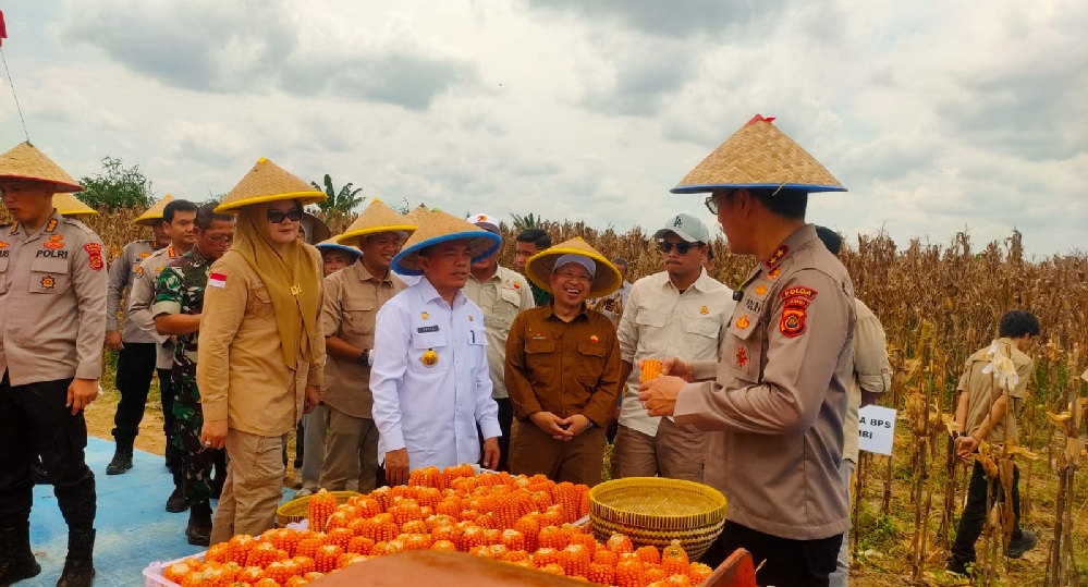 Sinergi untuk Ketahanan Pangan Negeri, SKK Migas PetroChina Hadiri Panen Raya Jagung Kuartal III di Tanjabtim