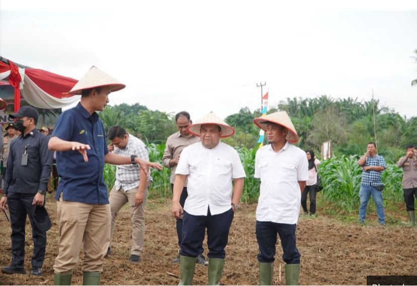 PTPN IV Regional 4 dan Polda Jambi Tanam Jagung Bersama