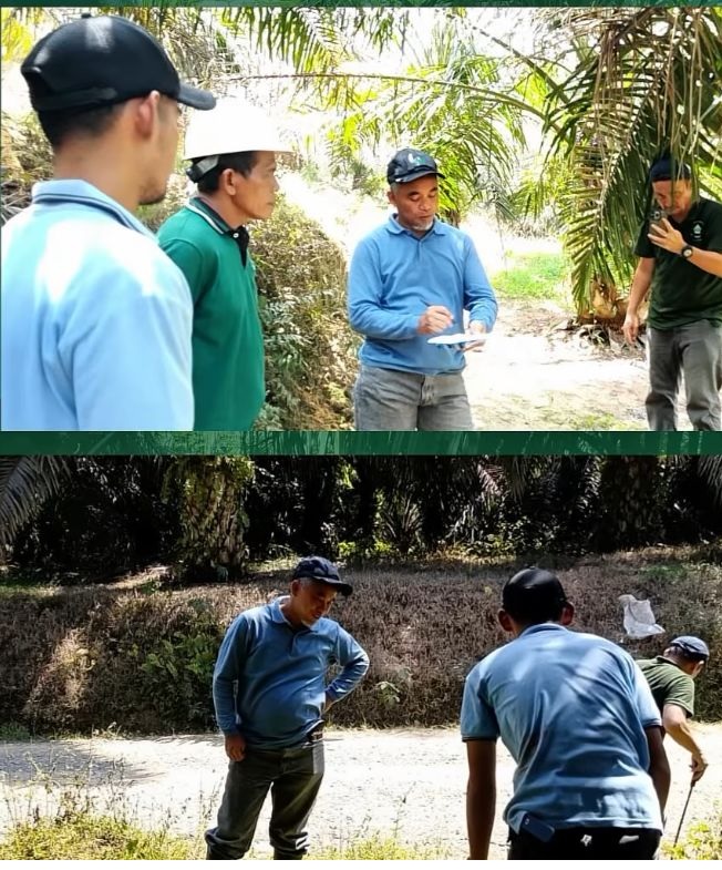 Kejar Produksi, Region Head PTPN IV Regional 4 ke Unit Tanjung Lebar