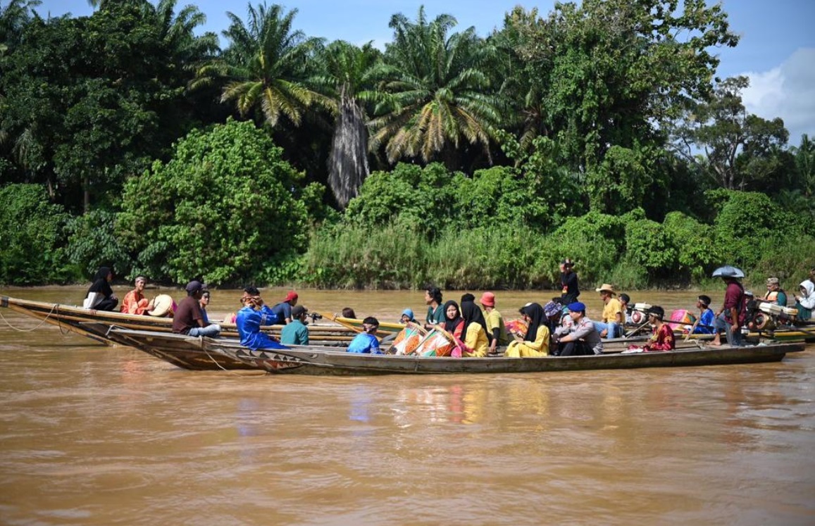 Gokil! Ikan Terkecil di Dunia Ternyata Hidup di Sungai Batanghari, Otaknya Tak Dibalut Tengkorak