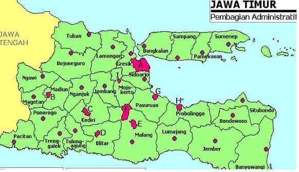 Kabupaten/Kota di Jawa Tiimur Bertambah 5, Berikut Nama dan Wilayahnya