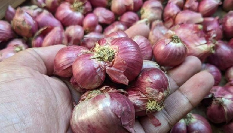 Harga Bawang Merah Terus Menanjak, Sudah Tembus Rp 38.000 Per Kilogram