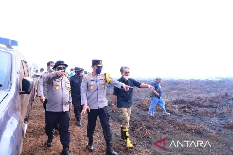 Kapolda Perintah Dirkrimsus Selidiki Kasus Karhutla di Gambut Jaya