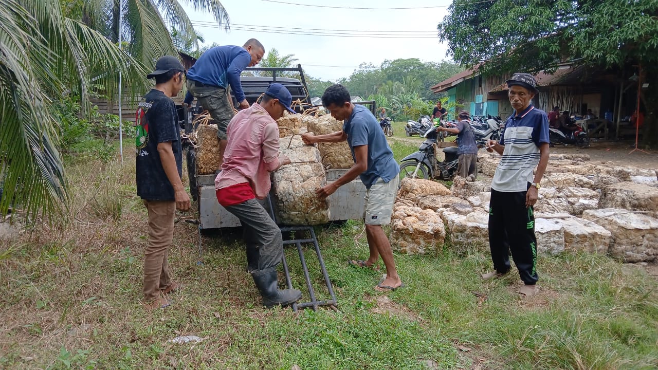 Harga Karet di Bungo Masih Menjanjikan