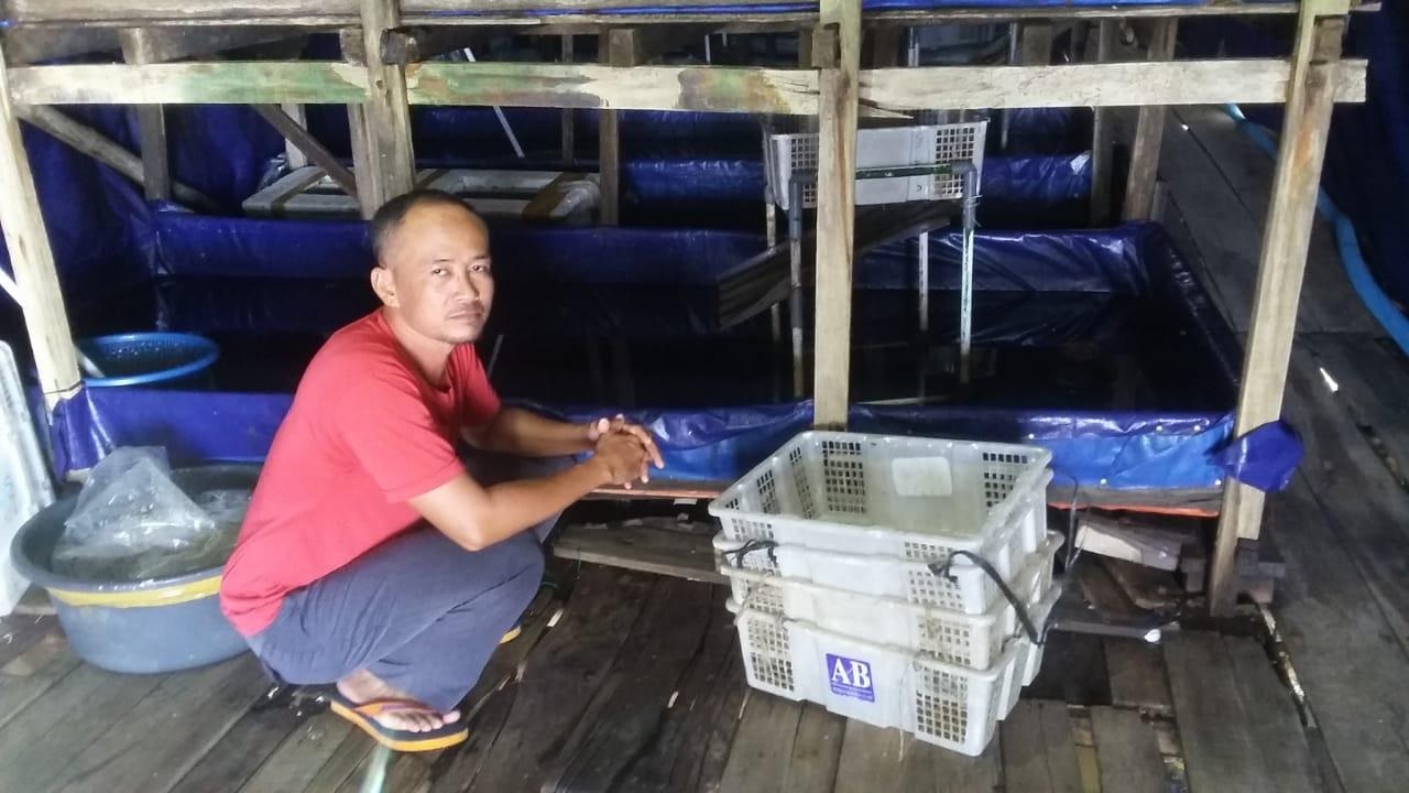 Cuaca Laut Bagus, Hasil Tangkapan Udak Ketak Melimpah, Tapi Harga Jatuh