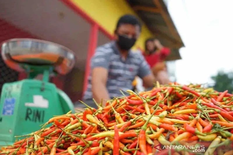 Harga Pangan, Cabai Rawit Rp 64.940/kg, Bawang Putih Rp42.600/kg