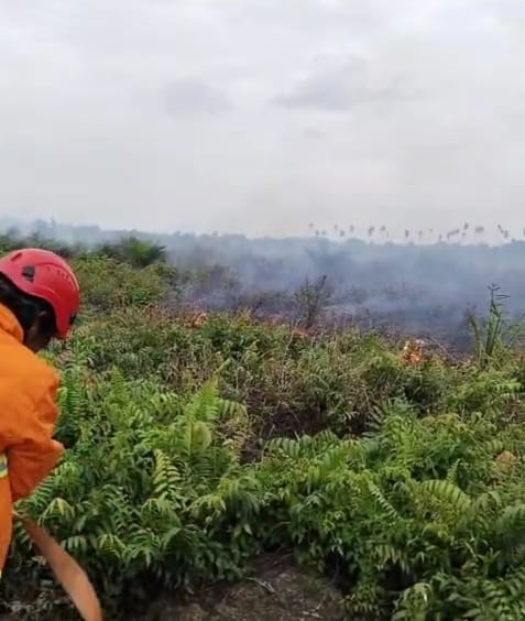 Lahan 8 Hektare Terbakar di Lagan Tengah