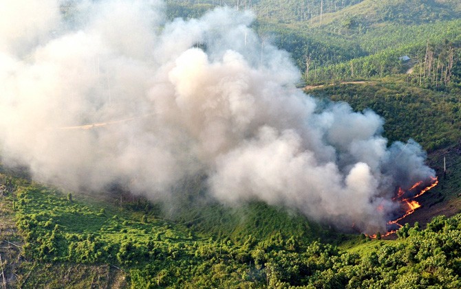 2023 Kebakaran Lahan dan Hutan Berpotensi Seperti 2019, Sekolah Diliburkan, Pesawat Batal Terbang,  Jangan!  