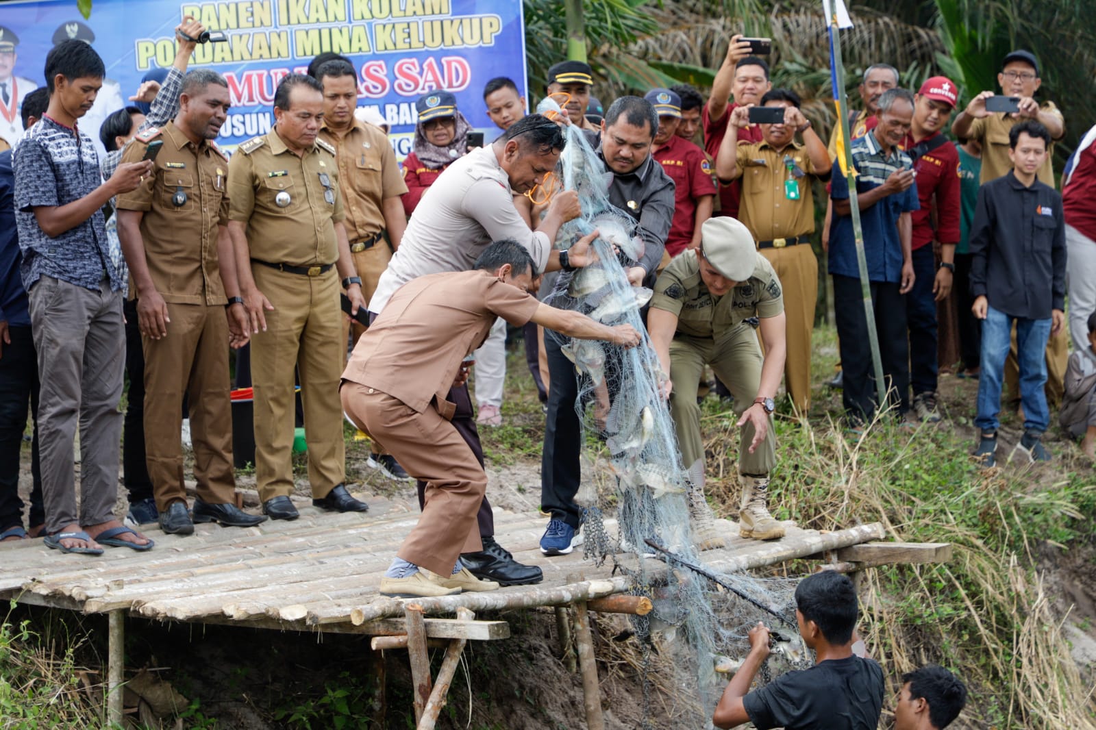 Bupati Bungo Panen Raya Ikan di Kolam Peliharaan Warga SAD