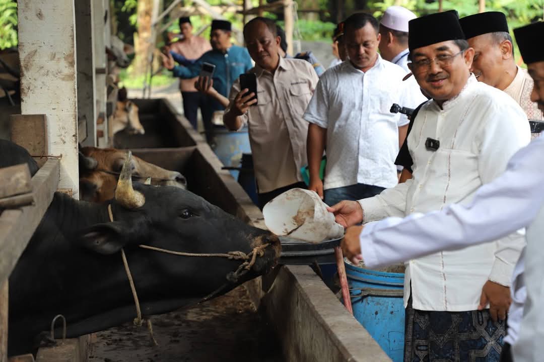 Bupati Tanjab Barat Tinjau Peternakan dan Kebun Sayur Warga Purwodadi