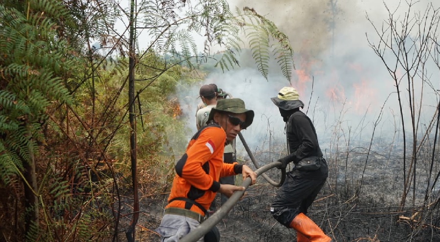 PT REKI Perkuat Pertahanan Hutan Harapan dari Karhutla