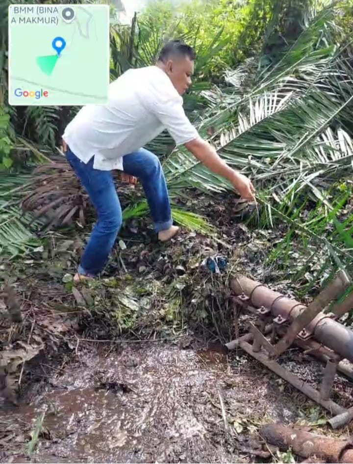 Kolam Limbah PT BMM di Bungo Meluap ke Sungai