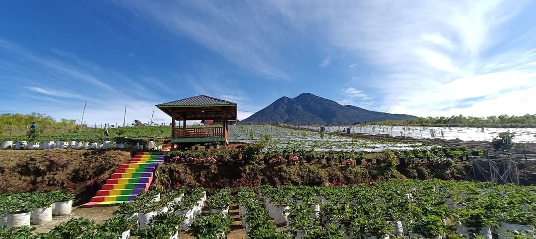 Farenza Garden Merangin Masuk Nominasi Anugerah Pesona Indonesia Award 2025