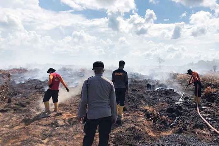 Hingga Oktober 2023, Titik Panas di Jambi 1.412 Titik, 1,292,88 Hektare Lahan Terbakar