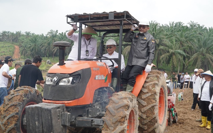 Komitmen Wujudkan Food Security, PTPN IV PalmCo Perluas Program Tanam Padi PTPN ke Provinsi Jambi