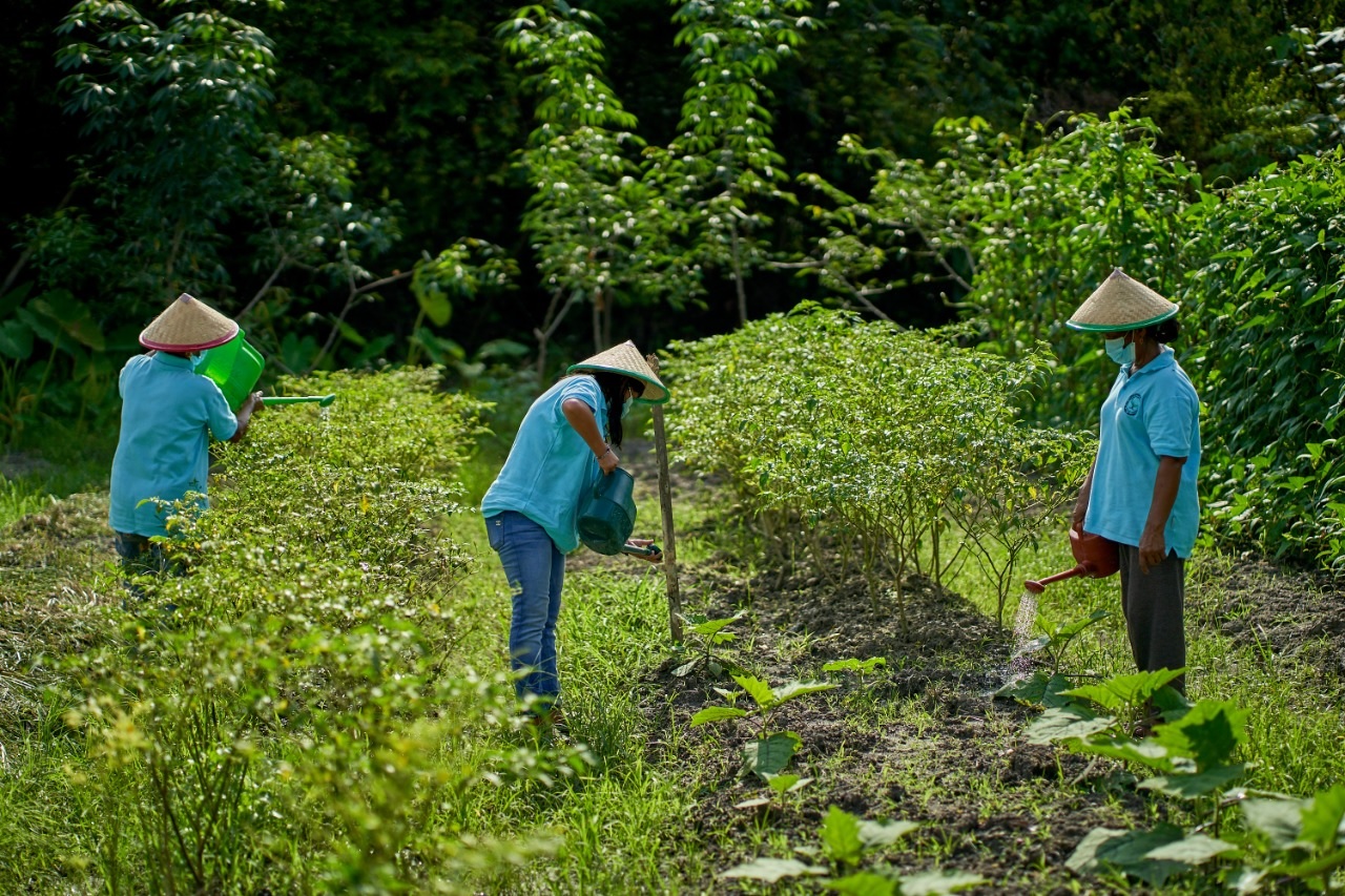 Sinar Mas Agribusiness and Food dan TaniFoundation Jalin Kerja Sama 