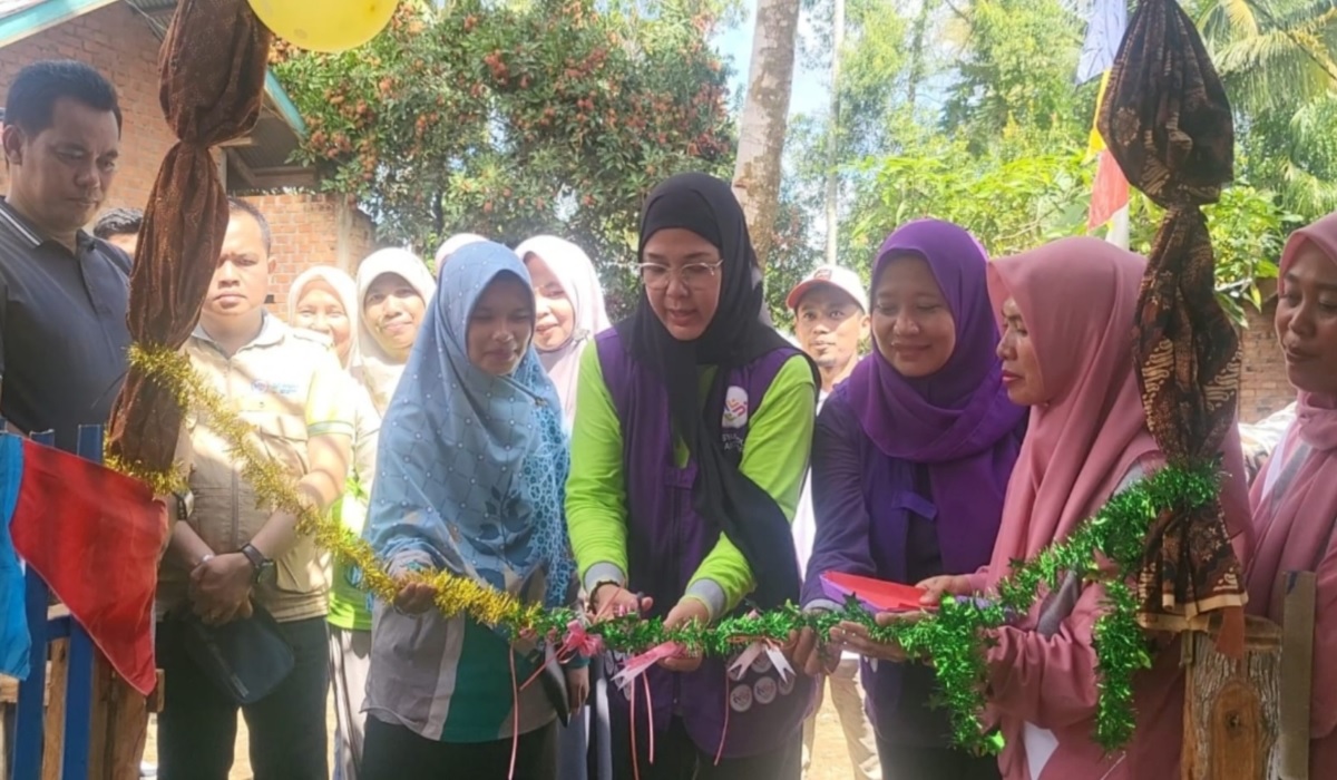 Lavita Syukur Launching Posyandu 6 SPM di Desa Marus Jaya