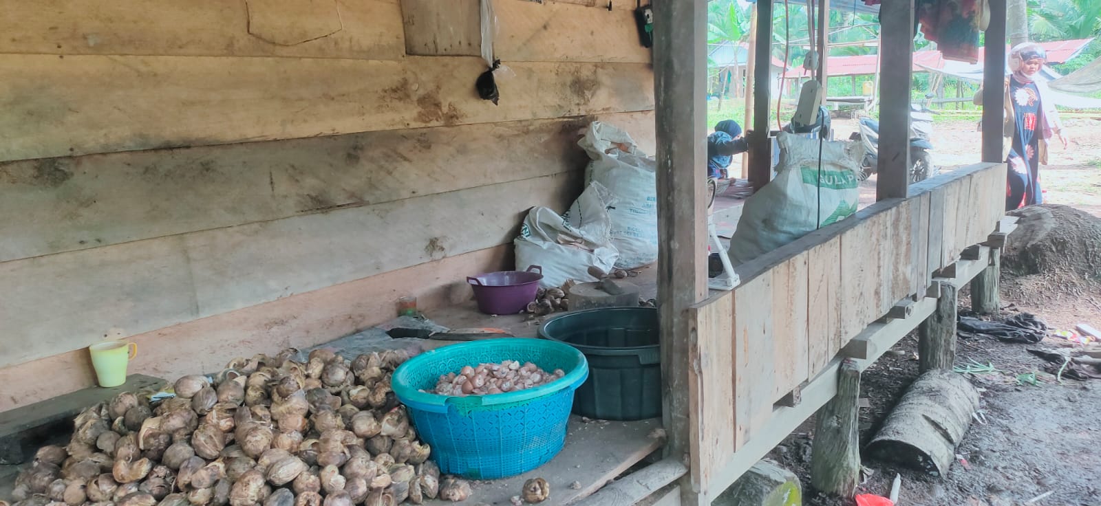 Pinang Ngelotok Tembus Rp20 Ribu per Kg